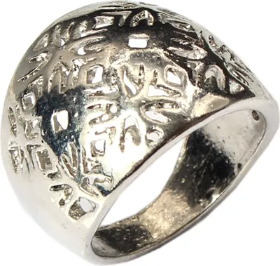 Produktbild von Edelstahl Ring Gr. 54 = 17,2 mm Silber