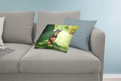 Produktbild von MuchoWow® Zierkissen Sofakissen Wohnzimmer Dekokissen 60x40 cm Ein sprintender Dackel - Kopfkissen - Polster mit Foto