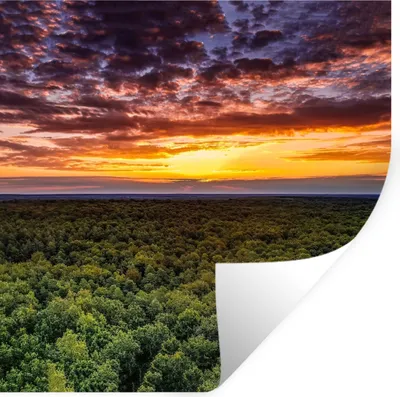 Produktbild von MuchoWow® Wandtattoo Wandsticker Wandaufkleber Wald - Nacht - Himmel - Horizont - Bäume 30x30 cm Selbstklebend und Repositionierbar - Repositionierbar - Wasser abweisend