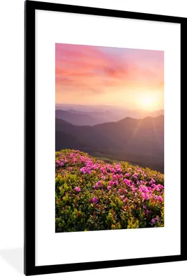 Produktbild von MuchoWow® Gerahmtes Poster Blumen - Berg - Sonnenuntergang - Landschaft 60x90 cm - Poster mit Schwarzem Bilderrahmen Wandposter Rahmen Foto Bilder - Dekoration - Wandposter Wohnzimmer - Hochwertig