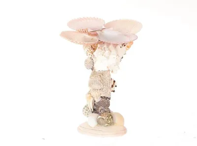 Zdjęcie produktu dla Hbx Natural Living Świecznik Muschelgalerie H16cm
