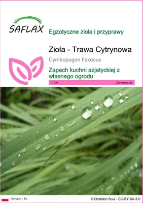 Zdjęcie produktu dla SAFLAX - Zioła - Trawa Cytrynowa - 50 Nasiona - Cymbopogon flexosus