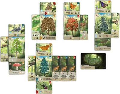 Image de Forêt mixte