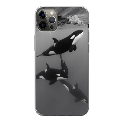 Produktbild von MuchoWow® Handyhülle Schutzhülle Hülle für iPhone 12 Pro Max Orca - Wasser - Schwarz - Weiß Silikon Softcase Handy Hülle - Hartschale