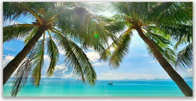 Produktbild von Tulup Leinwand-Bilder 140x70 Wandbild Canvas Kunstdruck Palmen Meer Landschaft