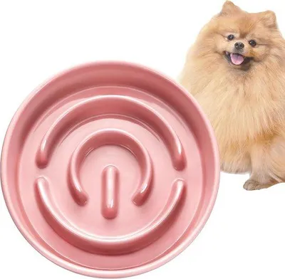 Produktbild von Famanu Keramische Fressnapf für kleine Rassen - Anti-Schlingnapf für Katzen und kleine Hunde - Ø 16 cm - 400 ml - Lachsrosa