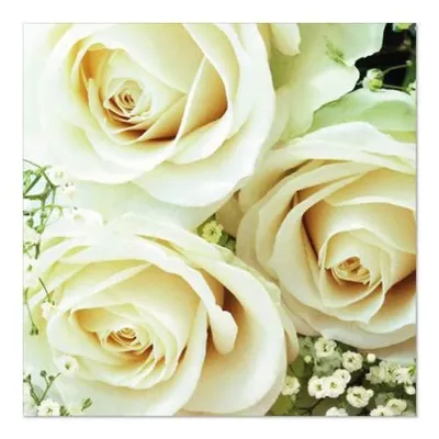 Immagine prodotto di 180 tovaglioli Papstar, 3 strati, piega a 1/4, 33 cm x 33 cm, Royal Flower 82787