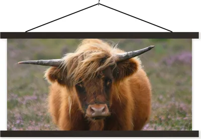 Produktbild von MuchoWow® Textilposter Schottische Hochlandbewohner - Heidelandschaft - Tiere 120x60 cm mit schwarzem Rahmen - Dekoration Schlafzimmer