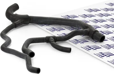 Produktbild von FAST Kühlerschlauch Wasserschlauch für RENAULT CLIO II (BB0/1/2, CB0/1/2) FT61471