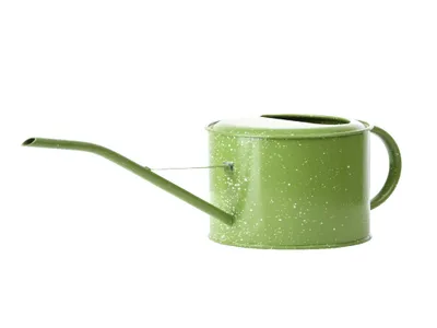 Produktbild von Esschert Design | Gießkanne 1,35 l - Grünes Metall - Praktisch und Dekorativ - Ergonomisch