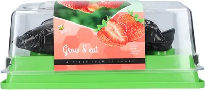 Artikelbild 1 von 'Gewächshaus Erdbeeren' aus der Kategorie Anzuchtsets