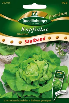 Artikelbild 1 von 'Kopfsalat Attraktion' aus der Kategorie Kopfsalatsamen