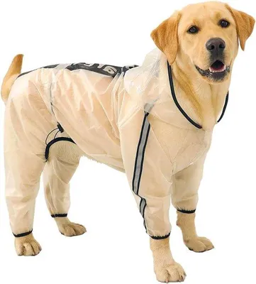 Produktbild von Regencape für Hunde, reflektierend, wasserdicht, Größe S-M-L