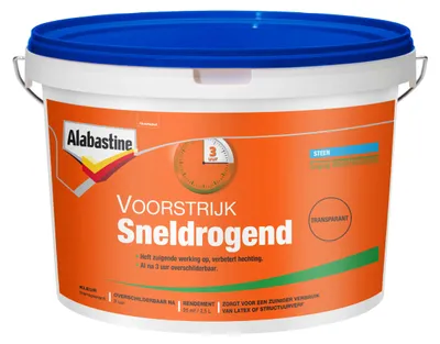 Productafbeelding van Alabastine voorstrijk sneldrogend transp 2,5l Alabastine Versluis VEBA