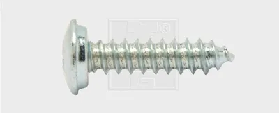 Produktbild von SWG Nummernschildschraube 4.8 x 19 mm mit Abdeckkappe