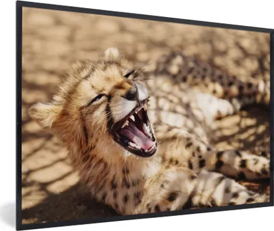 Produktbild von MuchoWow® MuchoWow® Gerahmtes Poster Gepard - Tier - Nahaufnahme 90x60 cm - Poster mit zchwarzem Bilderrahmen - Fotorahmen - Foto-Plakat