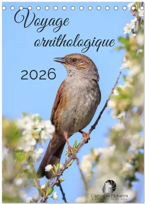 Produktbild von Ornithologische Reise (Schreibtischkalender 2027, DIN A5, Querformat), CALVENDO Monatskalender