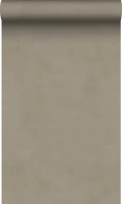 Produktbild von Origin Wallcoverings Tapete Lehmputz Taupe 50 x 900 cm