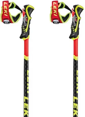 Two ski poles are shown against a white background.