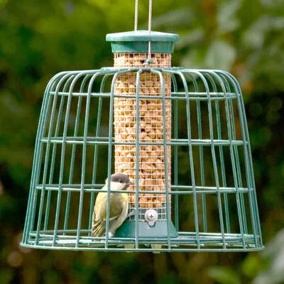Produktbild von CJ Wildlife Futtersäule Vögel - Erdnusssäule mit Schutzgitter - Metall, grün - zum Aufhängen - kompatibel mit Auffangschale
