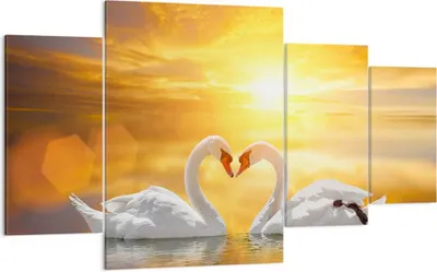 Produktbild von Bild auf Leinwand - Leinwandbild - Schwan Wasser Paar - 160x90cm - Wand Bild - Wanddeko - Leinwanddruck - Bilder - Kunstdruck - Wanddekoration - Leinwand bilder - Wandkunst - DL160x90-3872
