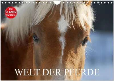 Produktbild von Welt der Pferde (Wandkalender 2026 DIN A4 quer), CALVENDO Monatskalender