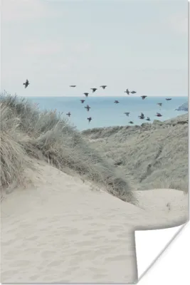 Produktbild von MuchoWow® Poster Strand - Vogel - Meer 120x180 cm - Kunstposter