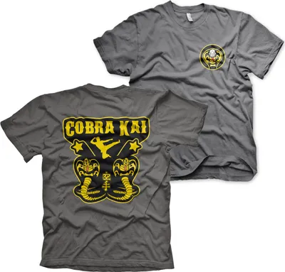 Produktbild von Cobra Kai Kickback T-Shirt - Small - DarkGrey