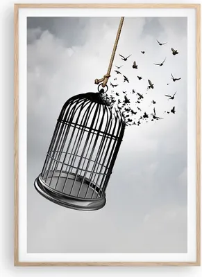 Produktbild von Gerahmtes Poster - Rahmen in heller Eiche - Freiheit Käfig Vögel - 70x100 cm - Wand Bild - Wanddeko - Wandbilder - Kunstposter - Wandposter - Bilderrahmen - Bilder - Kunstdruck - P2NPA70x100-4997