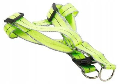 Produktbild von Verk 19121 Nylon-Hundegeschirr mit Leine, 125 x 2,5 cm, grün