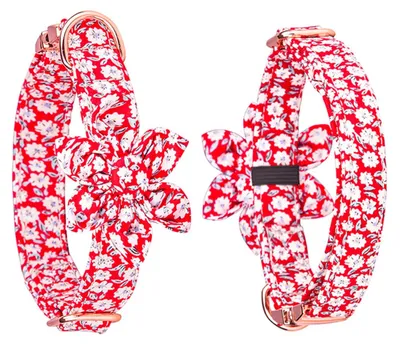 Produktbild von Blumenhalsband für Hunde - Verstellbar und Stilvoll