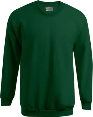 Produktbild von MenŽs Sweater 100 / Pullover - Farbe: Forest - Größe: S