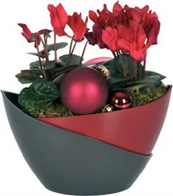 Immagine prodotto di Plastia | Fioriera Doppio - 21x14x14 cm - Rosso/Antracite - Autoinnaffiante - Ideale per erbe aromatiche