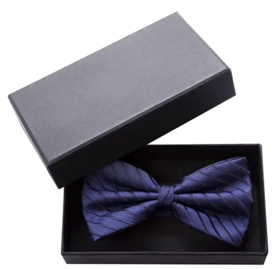 Produktbild von Fabio Farini - 1 Stück Blaue Herren Fliegen - Männer Querbinder Vorgebunden Bowtie Streifen-Dunkelblau-Morning Glory/Schwarz