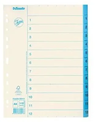 Produktbild von Esselte 69913, Numerischer Registerindex, Papier, A4, 90 g/m², 222 mm, 298 mm