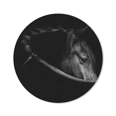 Produktbild von MuchoWow® Mauspad Mousepad Pferde - Porträt - Schwarz - Tiere 20x20 cm - Mousepads - Maus Mat - Pad - Mausunterlage - Schreibtischmatte