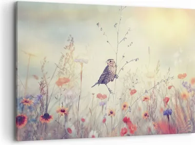 Produktbild von Bild auf Leinwand - Leinwandbild - Einteilig - Vogel Wildschwein Wiese - 120x80cm - Wand Bild - Wanddeko - Wandbilder - Leinwanddruck - Bilder - Wanddekoration - Leinwand bilder - AA120x80-4279