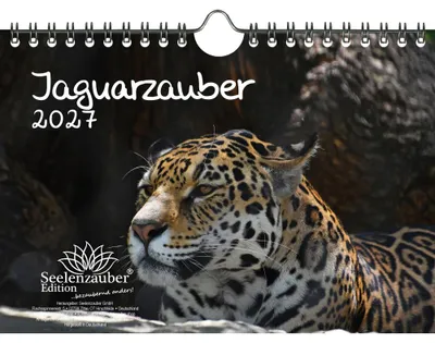 Produktbild von Jaguarzauber DIN A5 Kalender für 2027 Jaguar - Seelenzauber