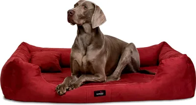 Productafbeelding van tierlando® Orthopedisch hondenbed PLUTO SOFT | Visco-elastisch | Zachte fluweelbekleding - Afmetingen: 160x110 cm | Kleur: 04 Donkerrood