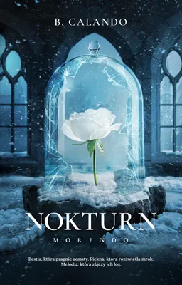 Image de Nokturn - B. Calando