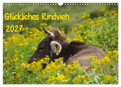 Produktbild von Glückliches Rindvieh 2027 (Wandkalender 2027 DIN A3 quer), CALVENDO Monatskalender
