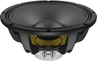 Immagine prodotto di WAN123.00 Woofer da 12', neodimio, cestello in alluminio