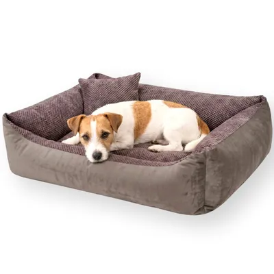 Produktbild von 4L Textil TEO Hundekorb mittelgroße Hunde Kuscheliges Hundebett mit Bezug Hundekissen flauschig Hundekörbchen Hundesofa (100x80 cm, Braun)