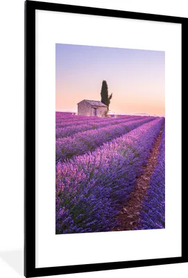 Produktbild von MuchoWow® Gerahmtes Poster Lavendel - Sonnenuntergang - Lila - Blumen 60x90 cm - Poster mit Schwarzem Bilderrahmen Wandposter Rahmen Foto Bilder - Dekoration - Wandposter Wohnzimmer - Hochwertig