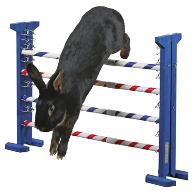 Produktbild von Kerbl Agility Kombisprung für Nager