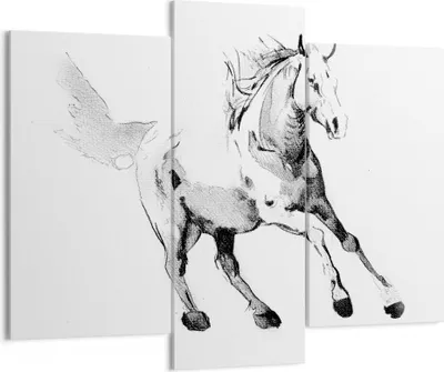 Produktbild von Bild auf Leinwand - Leinwandbild - 3 Teile - Pferd Galopp Tier - 130x100cm - Wand Bild - Wanddeko - Wandbilder - Leinwanddruck - Bilder - Wanddekoration - Leinwand bilder - Wandbild - CB130x100-5117