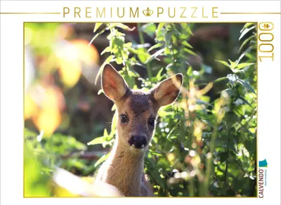 Produktbild von CALVENDO Puzzle Max | 1000 Teile Lege-Größe 64x48cm Foto-Puzzle für glückliche Stunden