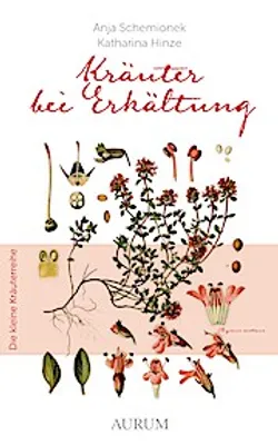 Produktbild von Kräuter bei Erkältung