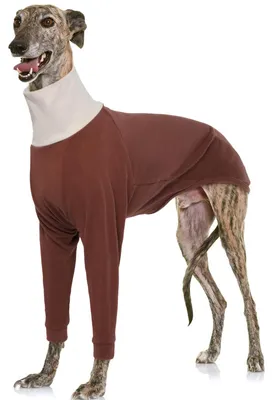 Hundepullover Rollkragen für Windhunde Fleece XXL