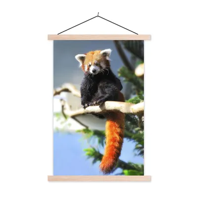 Produktbild von MuchoWow® Textilposter Roter Panda - Sonne - Zweig 60x90 cm mit holzfarbenen Rahmen - Textil